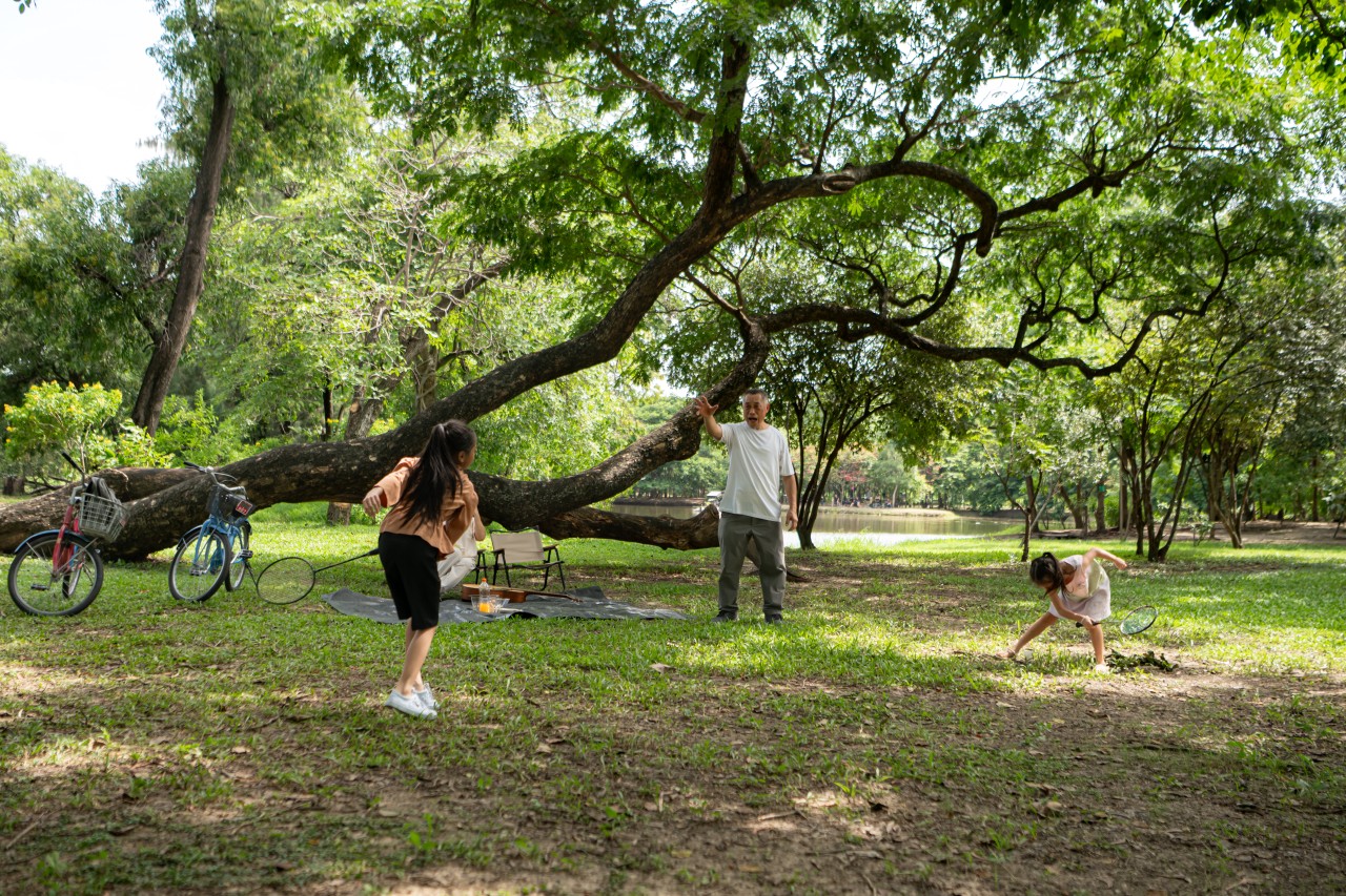 Clark Park