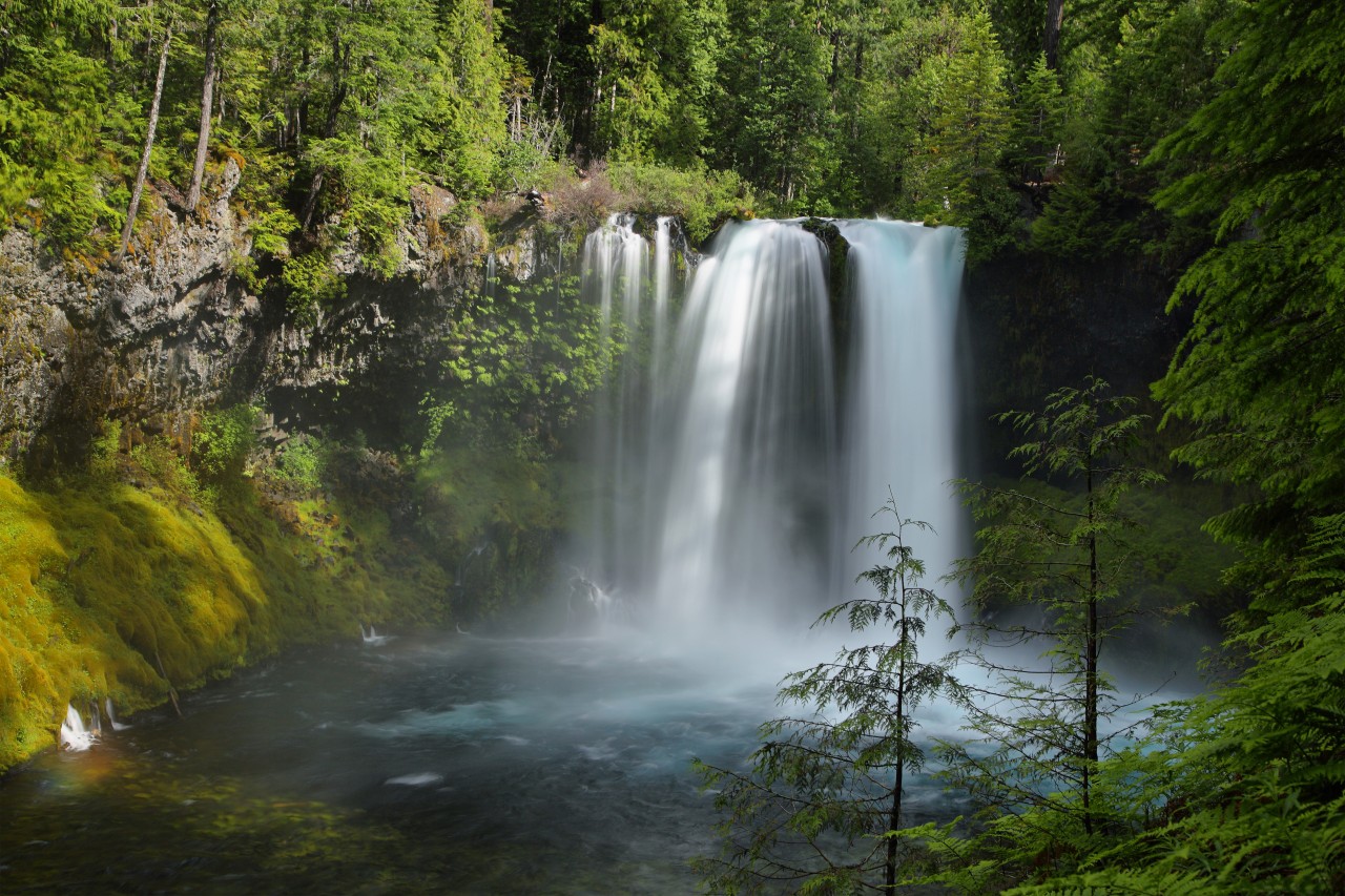 Silver Falls State Park
